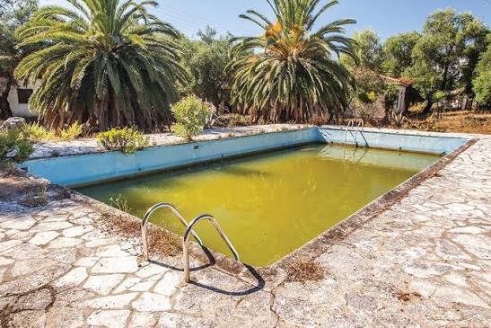 How to Compare Quotes from Pool Removal Companies